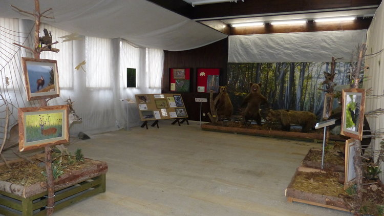 Творческо ателие за Деня на Земята организират в музея