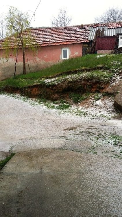 Градушка унищожи насаждения от картофи в Чернигово