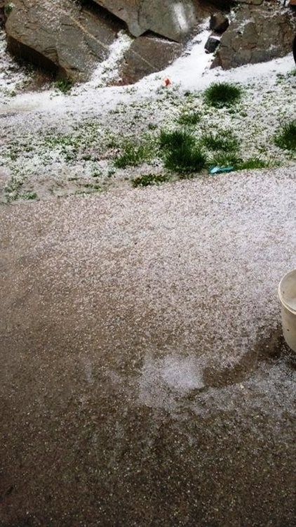 Градушка унищожи насаждения от картофи в Чернигово