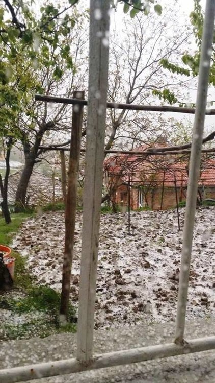 Градушка унищожи насаждения от картофи в Чернигово