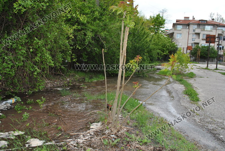 Гейзерът в двора на училището