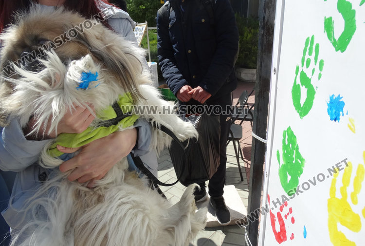 Десетки обещаха с отпечатъците си да пазят Земята чиста