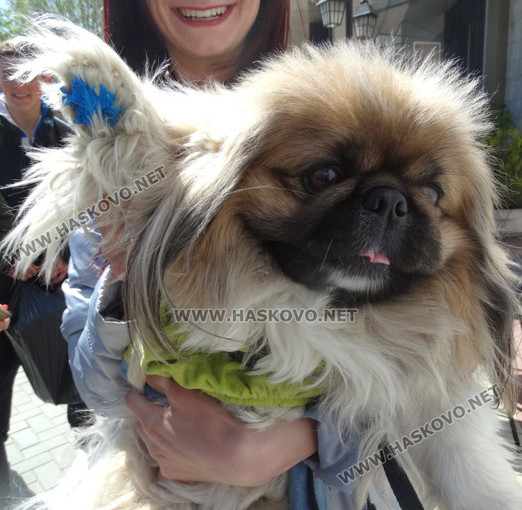 Десетки обещаха с отпечатъците си да пазят Земята чиста