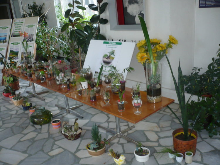 РИОСВ с поредица от инициативи за 22 април