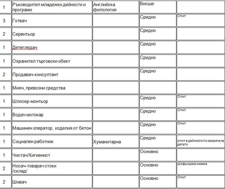 Обявиха свободно място за ръководител "Младежки дейности и програми"