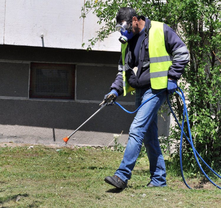 Пръскат с „Бандит“ срещу кърлежи в Хасково