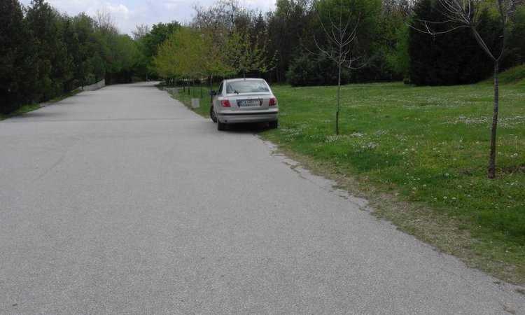 Читател: Джигит с Хюндай катери стълби по алеята в Кенана