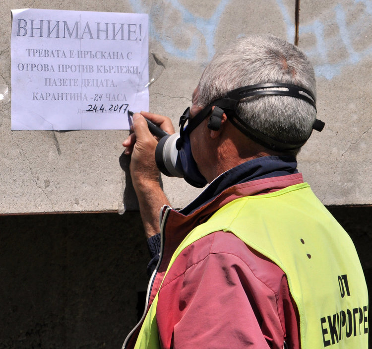 Пръскат с „Бандит“ срещу кърлежи в Хасково