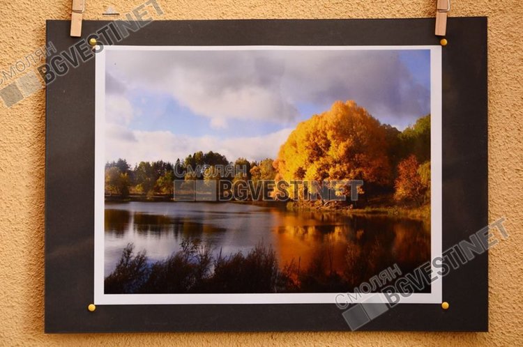 Млад талант вижда малките неща, пише електронна книга за връзката с живата природа