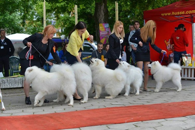 Не пропускайте да заведете децата си на забавление от нов тип