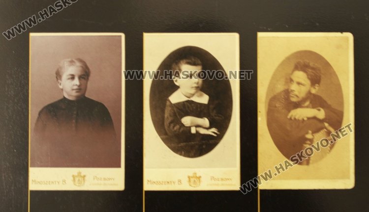 Свириха джаз на открито на градската алея в Димитровград