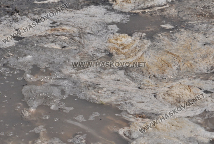 Цех за черва вмириса хасковско село, запечатват го