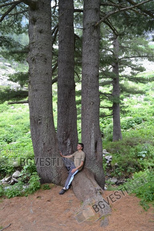 Млад автор от Смолян представя първата си книга "Кристални планини"