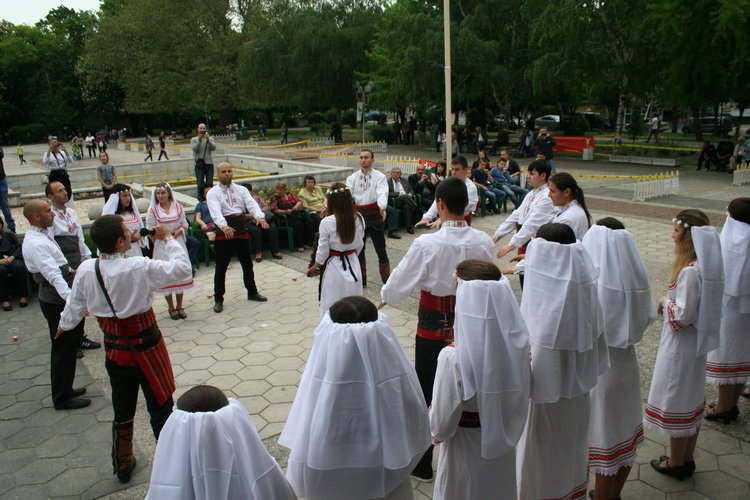 Започна The dog show Първомай 2017
