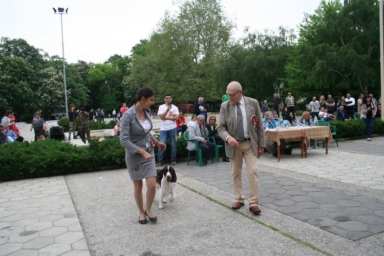 Госпожица Форси спечели купата за красота