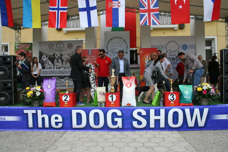 Госпожица Форси спечели купата за красота