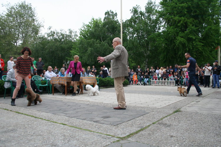 Госпожица Форси спечели купата за красота