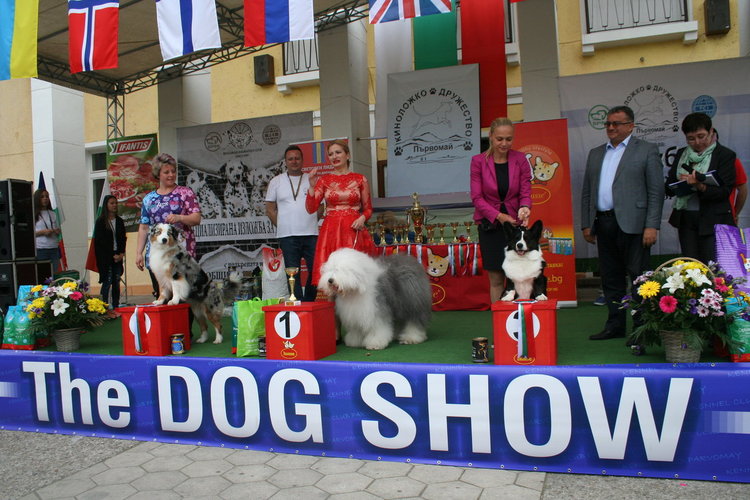 Госпожица Форси спечели купата за красота