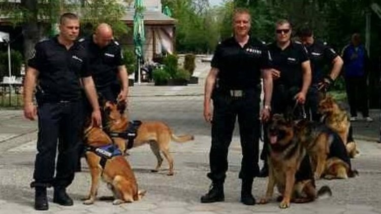 Най-опитните служебни кучета дефилираха в Първомай