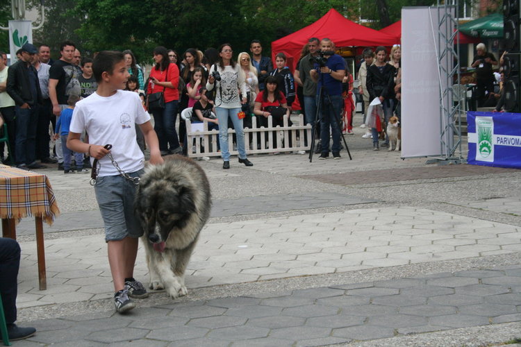 Госпожица Форси спечели купата за красота