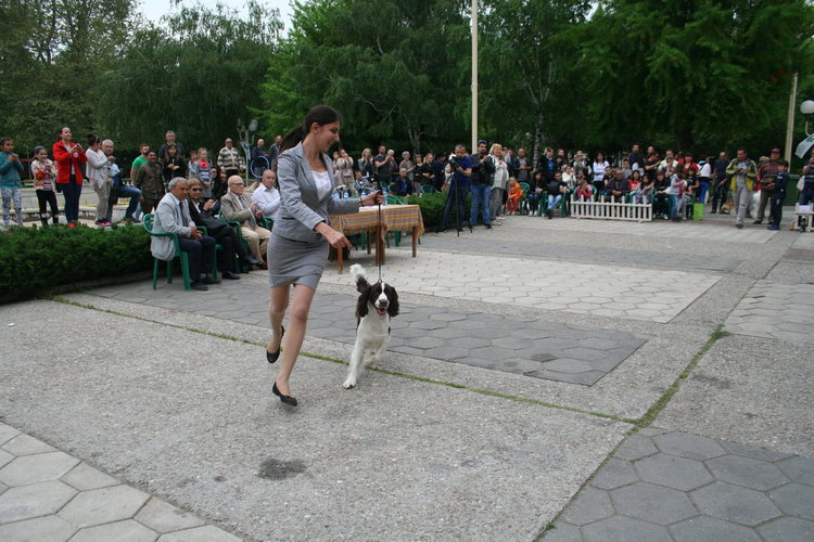 Госпожица Форси спечели купата за красота