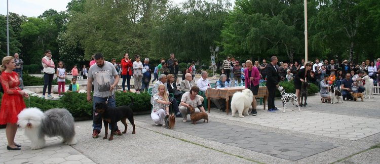 Госпожица Форси спечели купата за красота