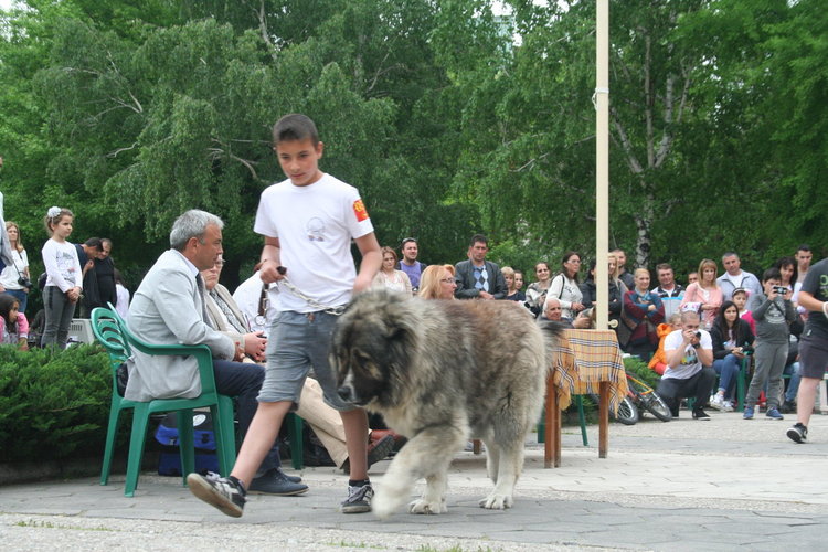 Госпожица Форси спечели купата за красота