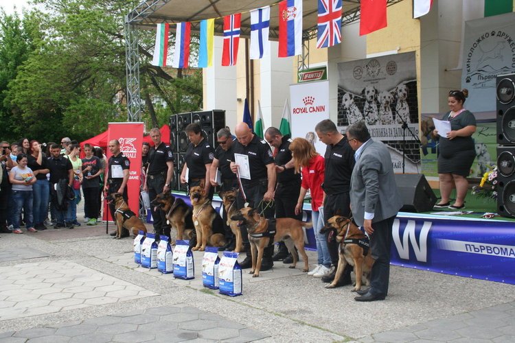 Най-опитните служебни кучета дефилираха в Първомай
