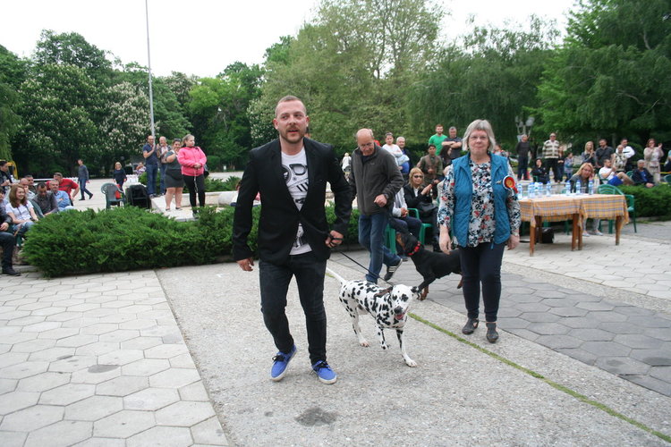 Госпожица Форси спечели купата за красота