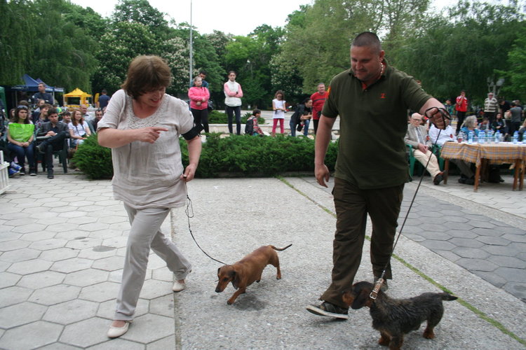Госпожица Форси спечели купата за красота