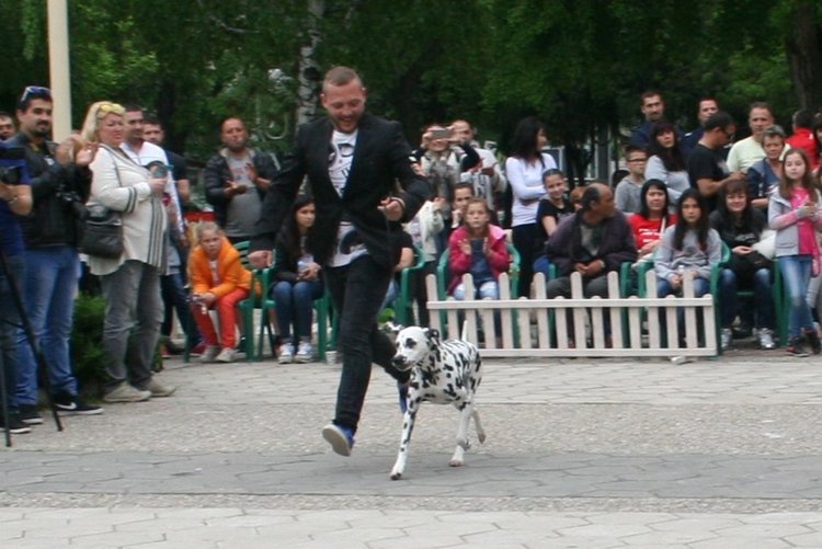 Госпожица Форси спечели купата за красота