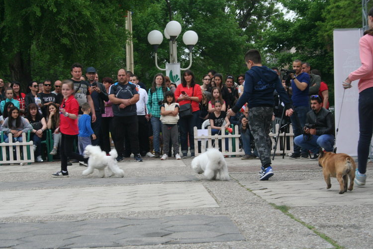 Госпожица Форси спечели купата за красота