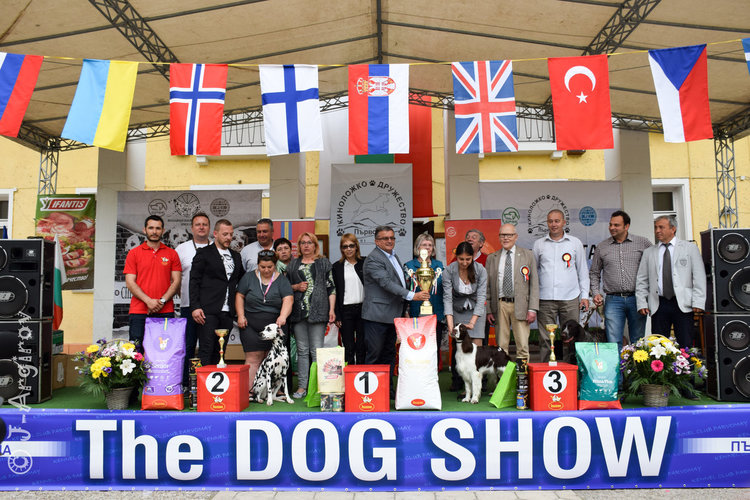 Госпожица Форси спечели купата за красота