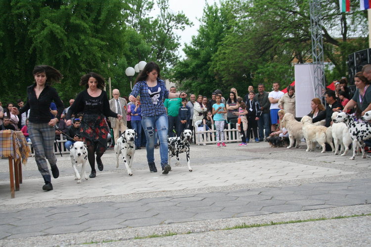 Госпожица Форси спечели купата за красота