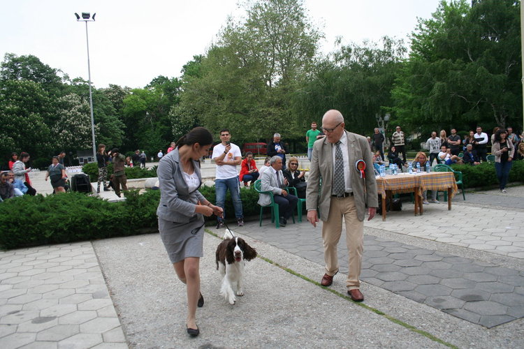 Госпожица Форси спечели купата за красота