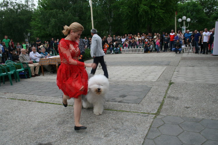 Госпожица Форси спечели купата за красота