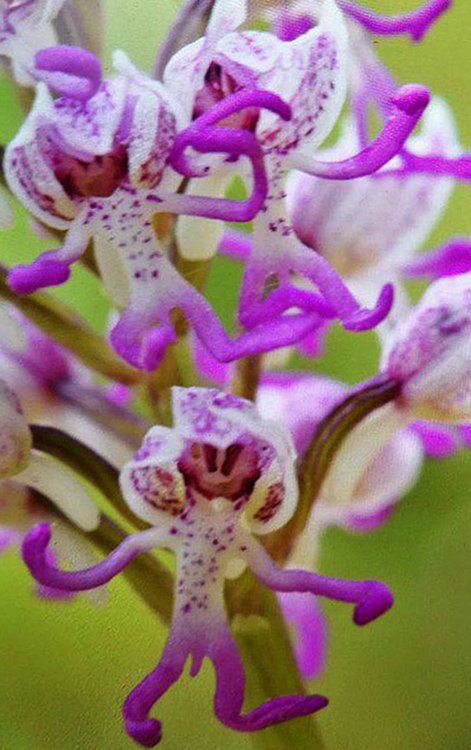 Майстори на обектива по стъпките на Капитан Петко в Ивайловградско 