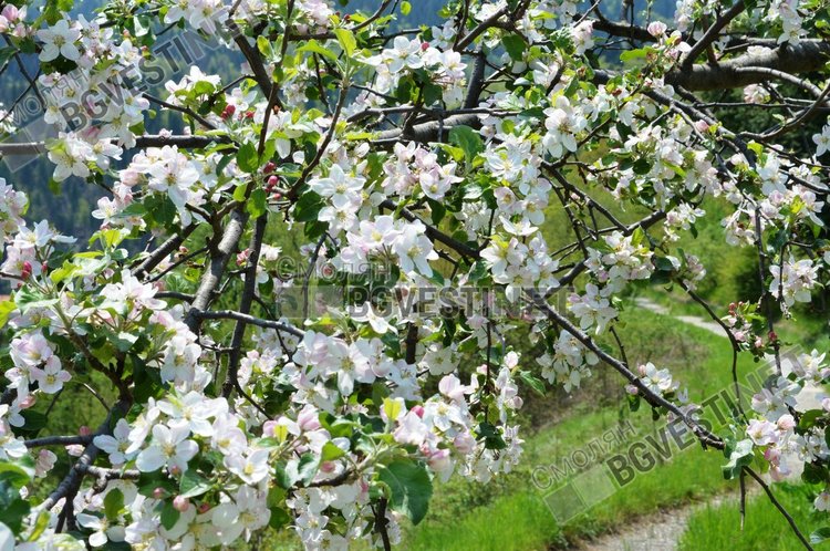 Времето днес: Слънчево и топло за началото на май