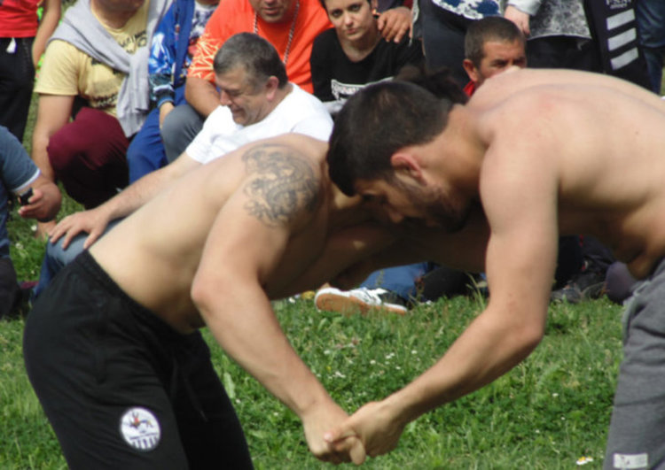 Най-големите народни борби на трева организират в Караманци