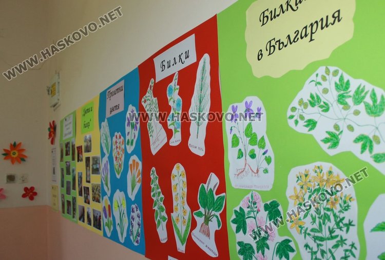 Каравеловци подредиха изложба от цветя и билки