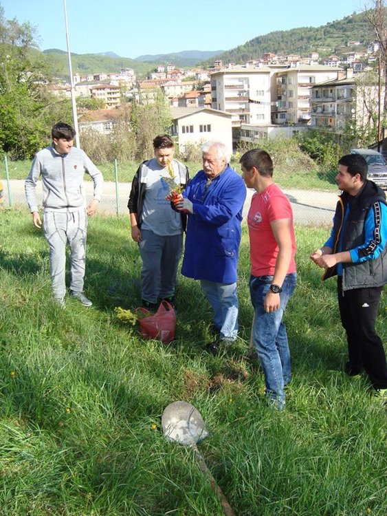 Десетокласници поемат грижата за кедрови дръвчета, които сами засадиха