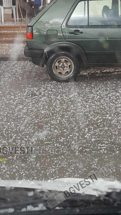 Снимка Николай Топуров