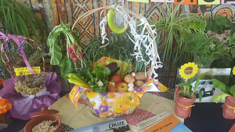 Ден на отворените врати в гимназията по транспорт и селско стопанство