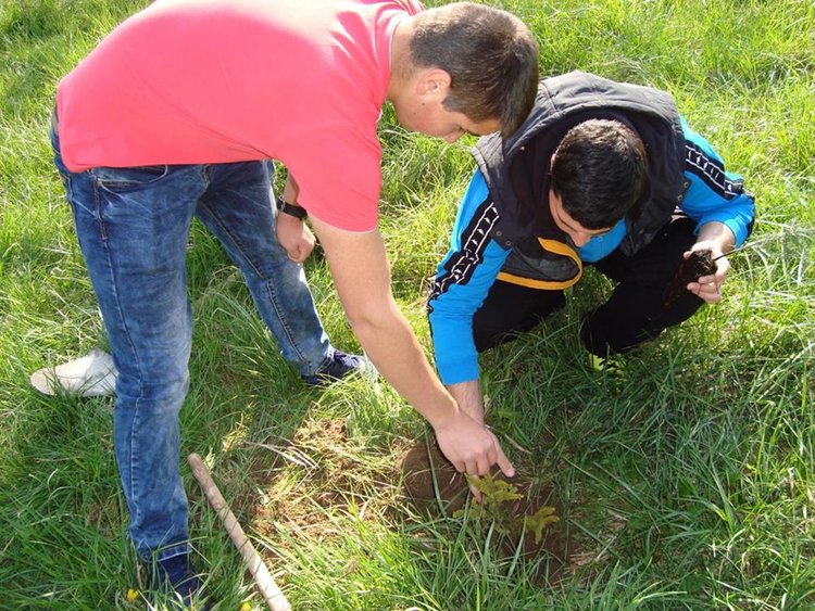 Десетокласници поемат грижата за кедрови дръвчета, които сами засадиха