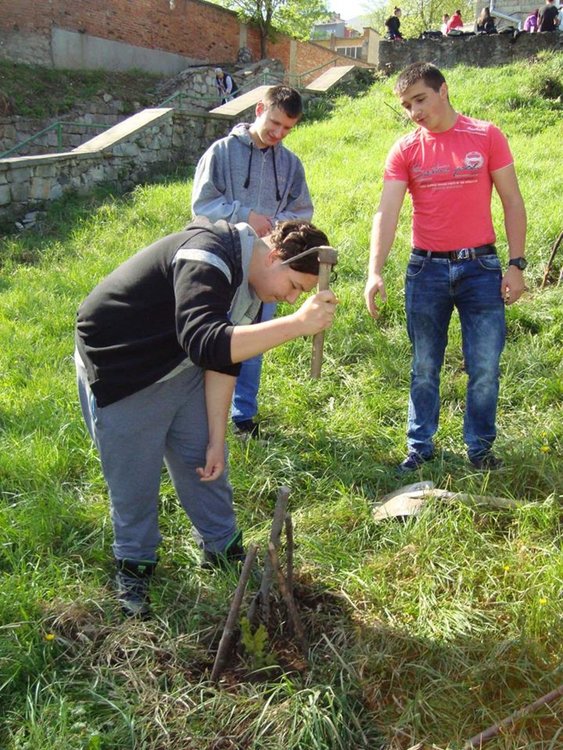 Десетокласници поемат грижата за кедрови дръвчета, които сами засадиха