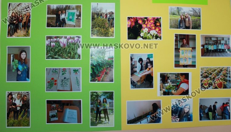 Каравеловци подредиха изложба от цветя и билки