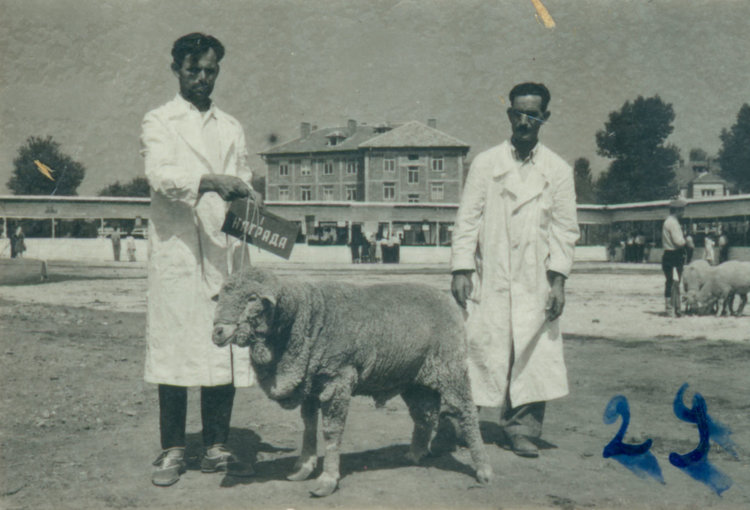 6 май тачен личен и държавен празник