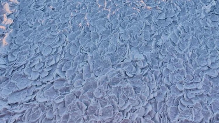 Рядък лед "драконова кожа" в Антарктика (видео)