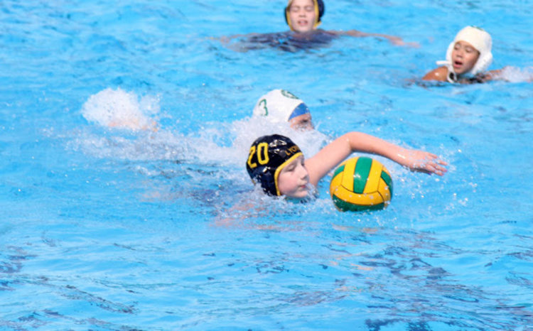 Пореден успех на младите ватерполисти от &bdquo;Арда 2008&ldquo;