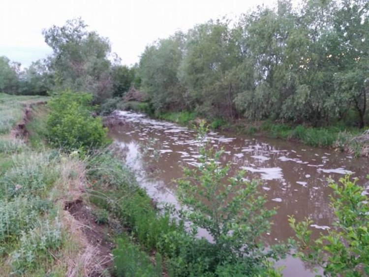 Предават случая със замърсената река на Окръжна прокуратура